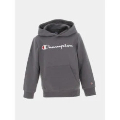 Sweat à Capuche Logo Brodé Gris Enfant - Champion